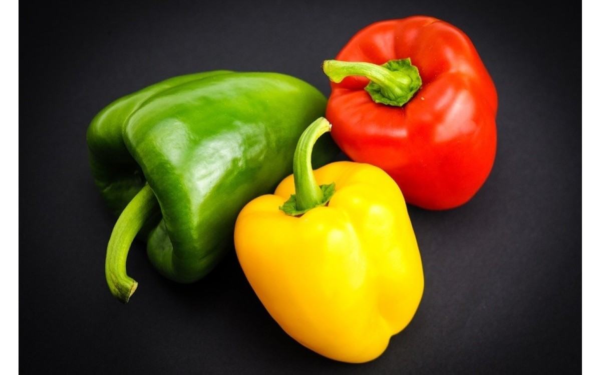 Trồng ớt chuông như thế nào